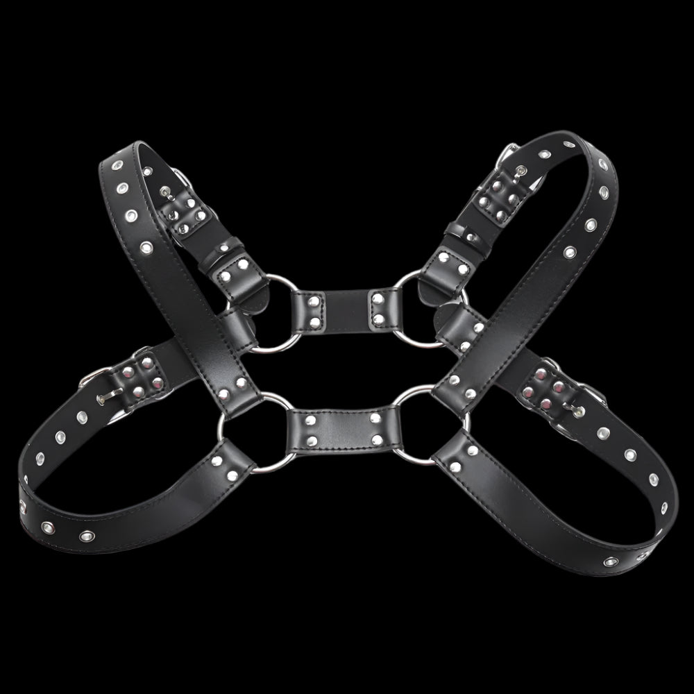 Quality Leather Harness